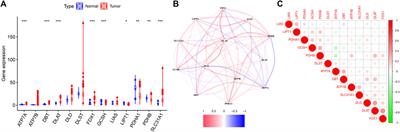 A novel cuproptosis-related gene signature for predicting prognosis in cervical cancer